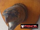 Montura de cabeza de tortuga