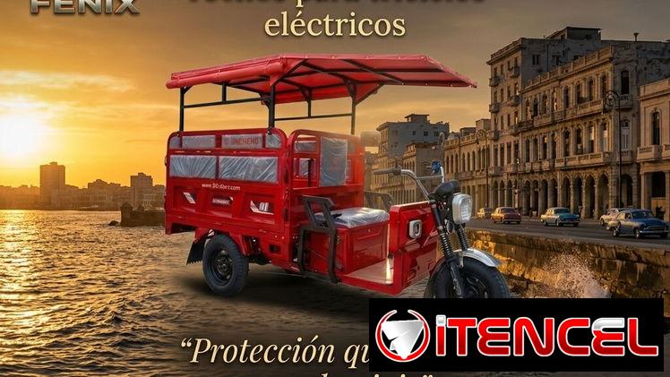 Taller “FÉNIX “…