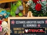Flores peluches y regalos para Mamá envíos