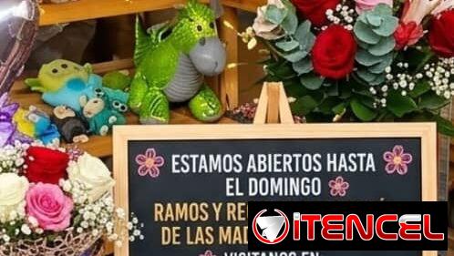 Flores peluches y regalos para Mamá envíos