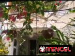 🪼 CASA EN MIRAMAR | FRENTE AL MAR | RENTA LINEAL EN LA HABANA 🏡🌊✨
