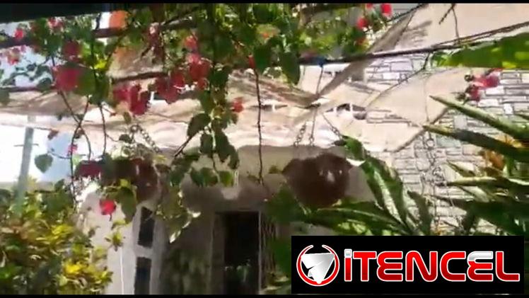 🪼 CASA EN MIRAMAR | FRENTE AL MAR | RENTA LINEAL EN LA HABANA 🏡🌊✨