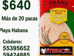 a7e013193eb5c8329ea234fe73dbfe2151aec63337d295cd13c9f94715cc8c50