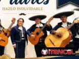 🎺🔥 ¡MARIACHIS RAYOS DE ORO! 🔥🎺 🎶