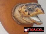 Montura de cabeza de tortuga