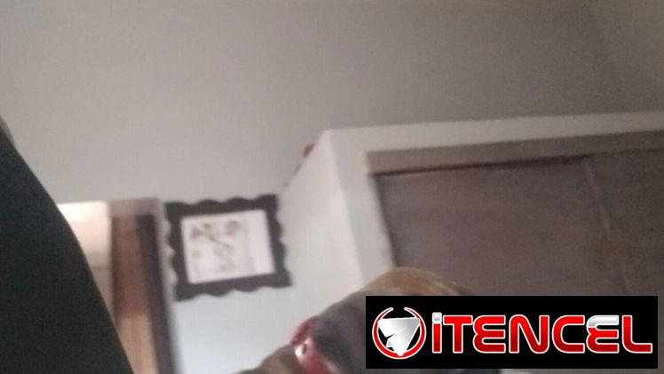 Hermoso ejemplar Boxer de 1 mes y dos semanas, desparasitado y se le da de regalo dos vacunas pentavalent y dos bolsas d