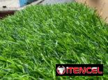 🌱LO MEJOR DE CÉSPED SINTÉTICO O ARTIFICIAL ⚠️  MÓVIL:📲  Wa.me/+5353022785  🥵‼️Lo que ves es lo que compras ‼️🥵