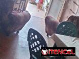 ⭕️En Venta Casa Independiente la dejo con algunas cosas  adentro⭕️