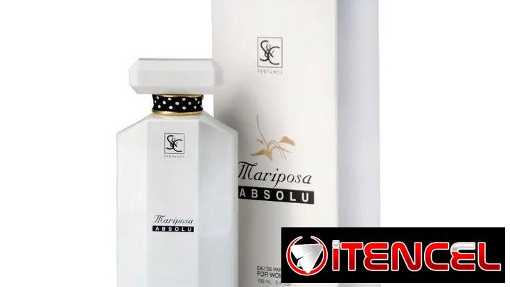 Mariposa Absolu