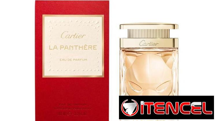 Perfumes Originales Importados
