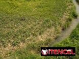 Vendo Finca en San Jose de los Ramos, Colon, Matanzas con 13.4 hectáreas de Tierra completa para Siembras, tiene pozo
