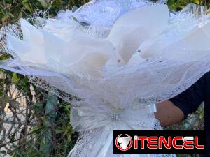 ab433c4a8325eae82fffa62ea0be9a48a6c29b68f0d0e48139ea486ccf996348