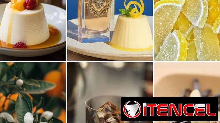 PERFUMERÍA PERFUME PERFUMES (VARENSIA/ UDV/ ULRIC /) VEDADO
