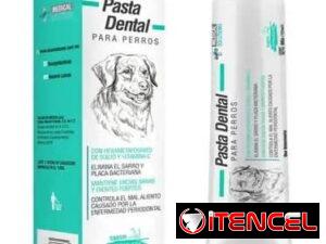 ab9c2bff9a43ce52585707d7cf7829562a1fdb03332d75dc6908ba175078d17a