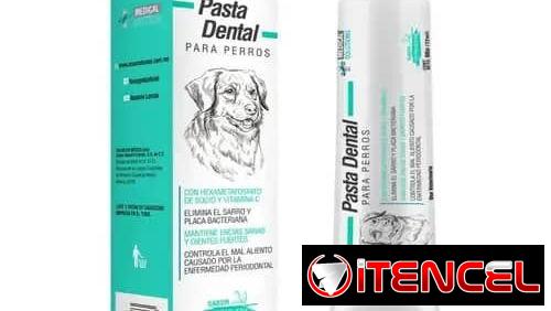 PASTA DENTAL MEDICADA