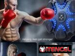 Máquina de Boxeo Musical para Pared con Luces y BT | videojuegoshabana.com