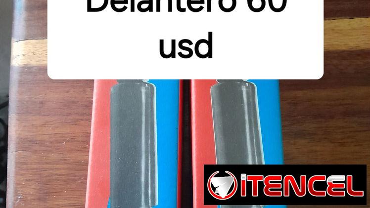 Amortiguadores de lada delanteros nuevos