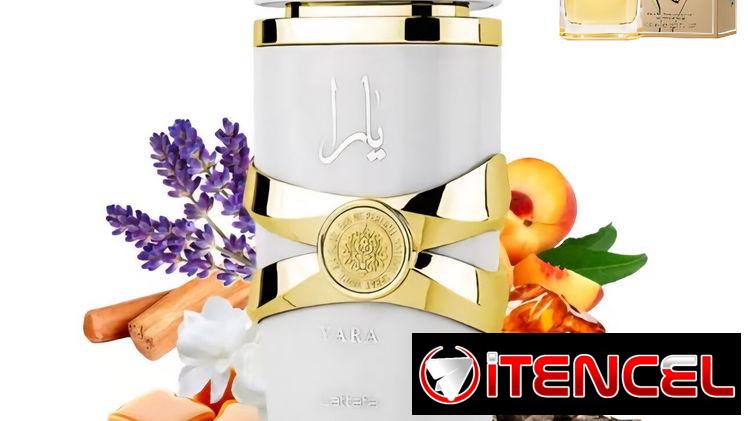 Perfumes Originales. Todos los perfumes a tu disposición.  Diseñador ,Árabe y Nicho. En Stock y por encargos.