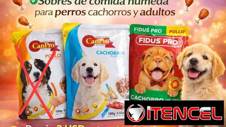 Comida húmeda para perros cachorros