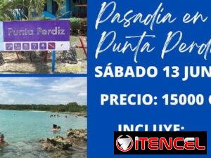ad56bea246867049506386f43a582ca412553404f97b58d498d7b42afd244f42