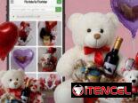 Flores peluches y regalos para Mamá envíos