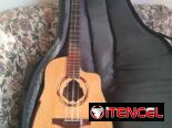 Se vende un tres con su estuche incluido.