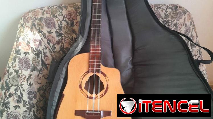 Se vende un tres con su estuche incluido.