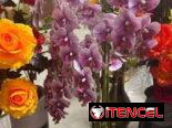 Macetas con flores artificiales