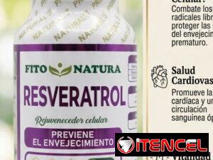 ae13b51697a2b3ecfbb496482ebd109311ff7bc7ab76a46dabd5aa82c82137e1
