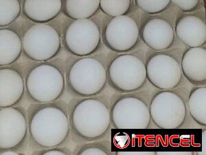 ae1c9a10372d9758a1dc41510685f52ce63b38afe3fc664d8924b281bb36591c