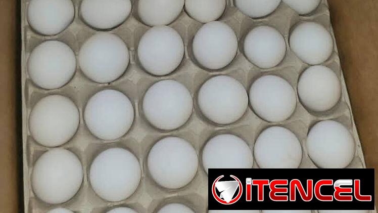 Huevos blancos