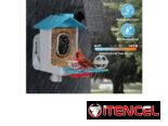 Camara solar para patio con comedero para pajaros