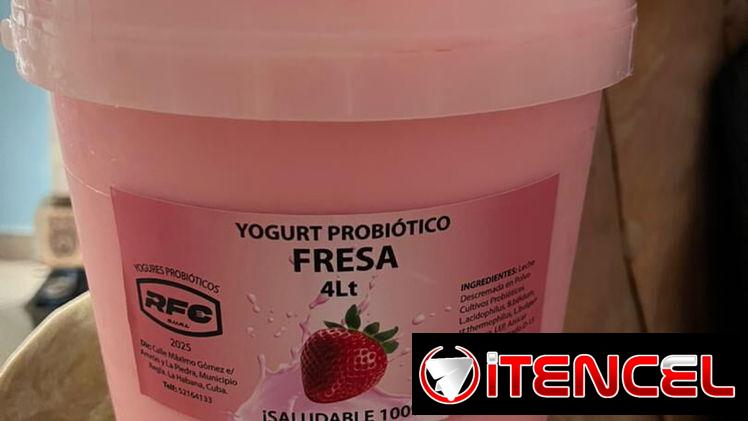 Yogurt Probiótico 4lt