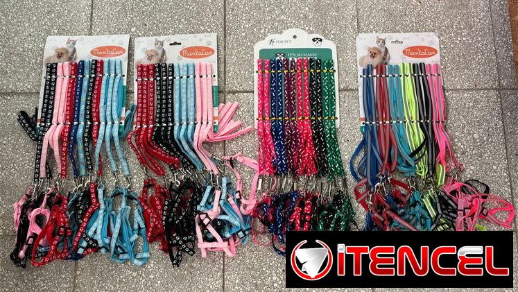 ¡¡Correas con pechera!!