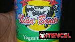 Helados niña bonita en formato de 3 .5 litros