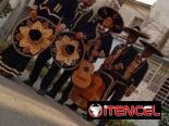 Mariachi Sinaloa *¡Atención, La Habana!* ¿Listos para una explosión de alegría y sabor mexicano.