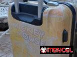 Maleta mickey 10 kg carrion