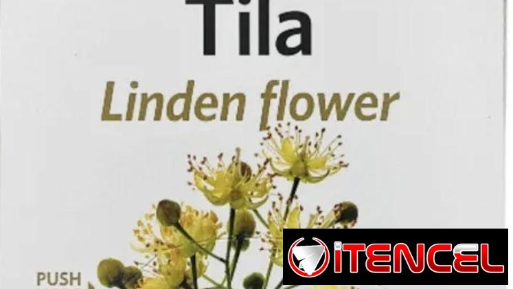 Tilo 🌿 Domicilio gratis en Plaza