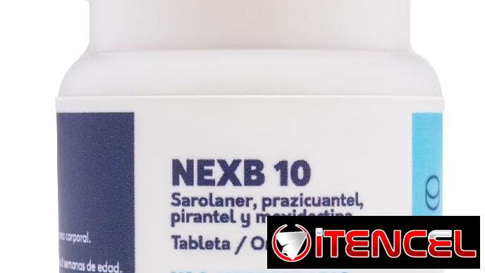 Gel limpiador ótico, Simparica 20-40 kg y antiparasitarios internos