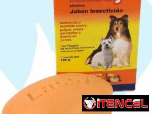 b0de6191070e10c5ca7f39b5f3ecaca313b5ead5c3379f3655718d56aa7c6d2e
