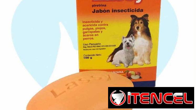 Jabones antipulgas para perros