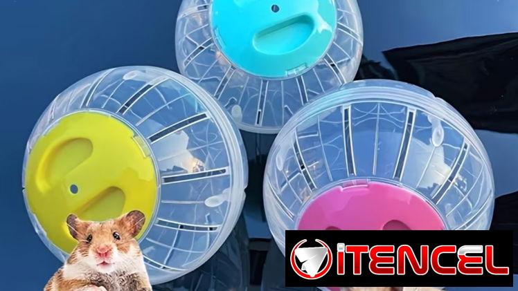 Bolas para hámster en 7usd