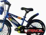 Bicicleta con cesta