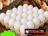 🚚 MIPYME RODSAIZ SRL📦  ✅️ Huevos 🍳🐣 de producción NACIONAL 🏷