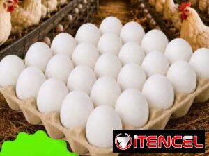 b106315d871ef0d9beb8803be043c638d7ac979231a0d5d33b3bf81b1dfcacd7