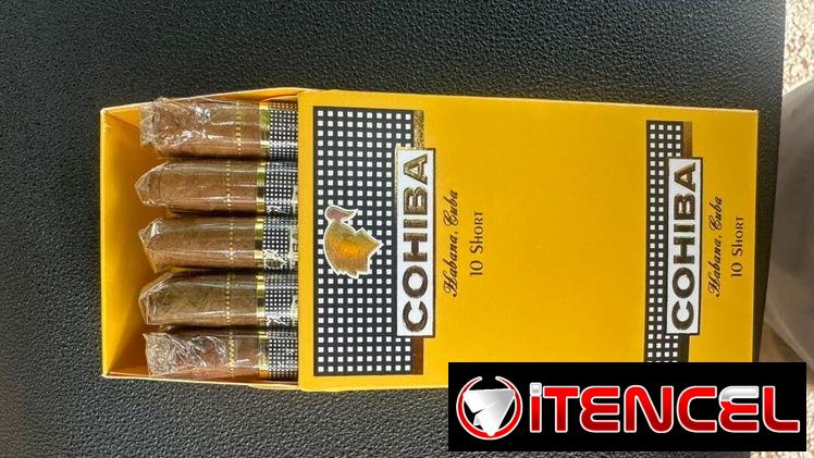 Tabaquitos cohibas cajitas de 6 y 10 unidades