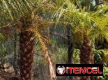 Servicios de jardineria y venta de plantas ornamentales