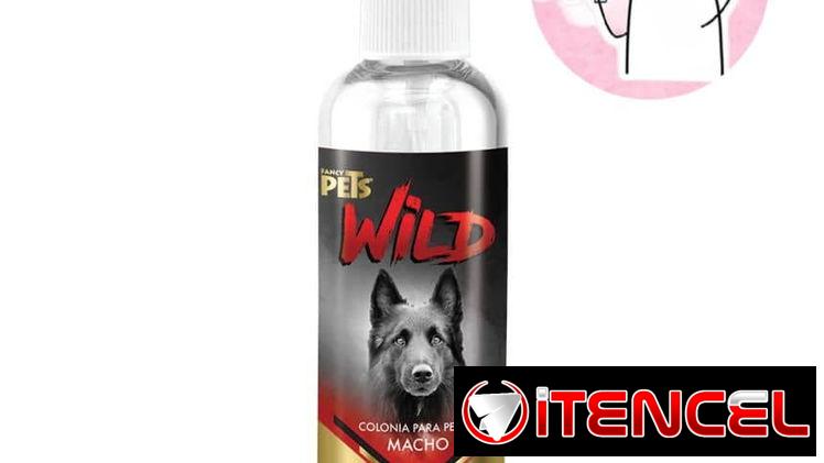 Colonia para perro macho