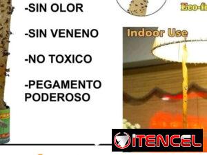 b2062f18abc921455d236d037ce6a638e0d52ced469ad34ce23f6aa7b31794c1