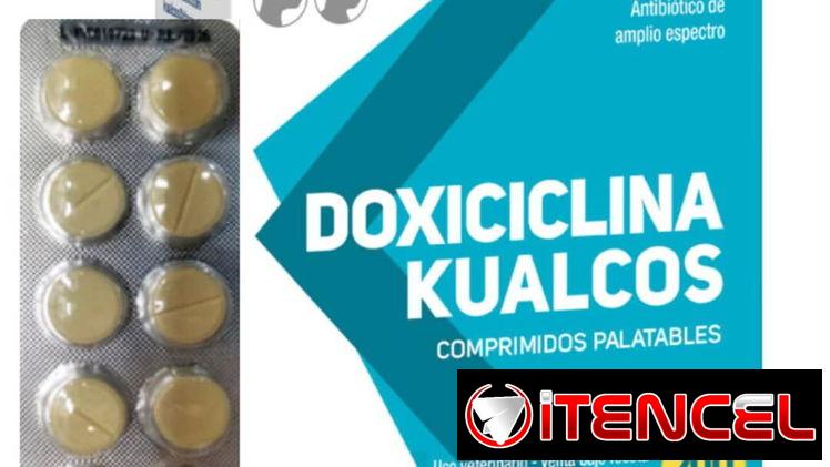 Doxiciclina Cefalexina Amoxicilina para perros y gatos
